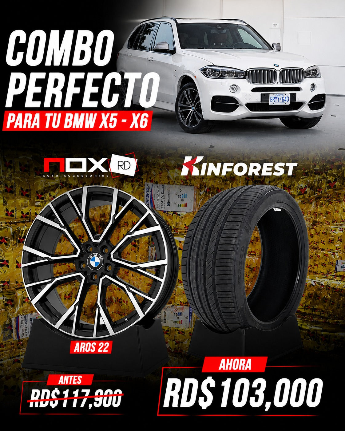 COMBO AROS 22 + GOMAS BMW X5-X6