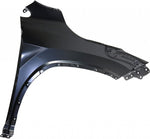 GUARDALODO RX LH 16-19